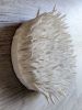 "The desire to be in control #4" small round wall sculpture | Wall Hangings by Natasha Kanevski. Item made of canvas compatible with minimalism and contemporary style
