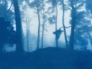 Sunrise Ridge (20 x 30" unframed hand-printed cyanotype) | Photography by Christine So. Item composed of cotton and paper in boho or country & farmhouse style