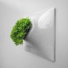 Modern Living Wall - Node Wall Planter | Plants & Landscape by Pandemic Design Studio. Item composed of ceramic in mid century modern or contemporary style