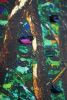 'Enchanted Forest' Limited Edition Print | Prints by Mishell Leong. Item composed of paper