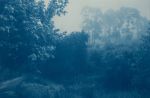 Fog Ridge (16 x 24 inch hand-printed cyanotype) | Photography by Christine So. Item made of paper compatible with boho and country & farmhouse style