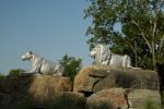Lion Pride by Darrell Davis, NSG | Public Sculptures by JK Designs and the National Sculptors' Guild