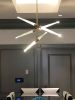 Uccello | Chandeliers by Hyland Glass. Item composed of brass and glass