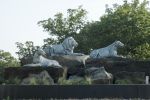Lion Pride by Darrell Davis, NSG | Public Sculptures by JK Designs and the National Sculptors' Guild