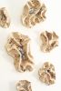 Ceramic wall installation | Sculptures by Asmaa Aman Studio