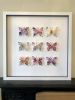 Flower Butterfly Box | Wall Sculpture in Wall Hangings by Lorna Doyan. Item made of paper