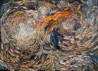 Fish | Prints by Rosemary Feit Covey | Baltimore in Baltimore