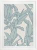 Rubbery Leaf Design - 1 & 2 - Sky - Framed Art | Prints by Patricia Braune. Item composed of paper
