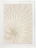 Nobilis Palm - 1 & 2 & 3 - Sand - Framed Art | Prints by Patricia Braune. Item made of canvas & paper