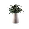 Palm box | Ornament in Decorative Objects by Patrizia Italiano. Item composed of ceramic in contemporary or eclectic & maximalism style