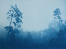 Misty Slope (18 x 24 inch hand-printed cyanotype0 | Photography by Christine So. Item made of cotton & paper compatible with boho and coastal style