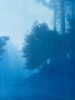 Caminante No Hay Camino (35x23" hand-printed cyanotype, 1/3) | Photography by Christine So. Item composed of paper in country & farmhouse or rustic style