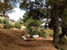 KODAMA Zome Lounger | Daybed in Couches & Sofas by KODAMA | Treebones Resort in Big Sur. Item made of fabric with steel