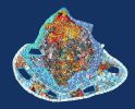 Civilization Lost | Wall Sculpture in Wall Hangings by Gila Mosaics Studio