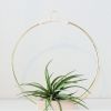Plant Hanger | Plants & Landscape by Braid & Wood Design Studio | Work Hard Plant Hard in Encinitas. Item composed of maple wood and cotton