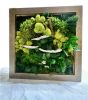 Moss and Mushrooms 2 | Decorative Frame in Decorative Objects by Mona King. Item made of oak wood with copper