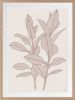 Rubbery Leaf - 1 & 2 - Stone - Framed Art | Prints by Patricia Braune. Item composed of paper