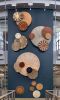 On the Appreciation of Species | Wall Sculpture in Wall Hangings by Ansen Seale. Item made of wood