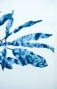 Spring Madrone V (30 x 22" cyanotype painting on paper) | Watercolor Painting in Paintings by Christine So. Item made of paper works with boho & country & farmhouse style