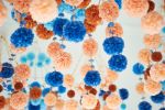 Kinetic Paper Installation | Sculptures by Paula Hartmann | Gladstone Hotel in Toronto. Item made of paper with fiber works with japandi & eclectic & maximalism style