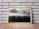 Winter morning in Paris | Limited Edition Print | Photography by Tal Paz-Fridman | Limited Edition Photography. Item made of paper works with contemporary & country & farmhouse style