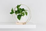 BRAID & WOOD Plant Hanger (Larger) | Plants & Landscape by Braid & Wood Design Studio. Item made of maple wood & cotton