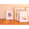 Marsh Birds | Prints by Elana Gabrielle. Item made of paper