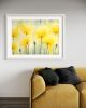 "Find Joy Everyday' Yellow Poppies Original Watercolor | Watercolor Painting in Paintings by Myriad Shades Art. Item works with contemporary & modern style