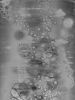 Abstract Scanography XIX | Prints by Sven Pfrommer. Item composed of aluminum and synthetic