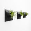 Node M Wall Planter, 9" Modern Plant Wall Set, Black | Sculptures by Pandemic Design Studio. Item composed of stoneware in minimalism or mid century modern style