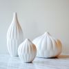 Textured Vase Collection | Vases & Vessels by Maia Ming Designs. Item made of ceramic