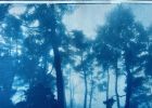 Sunrise Ridge (23 x 35" hand-printed cyanotype, ed. 1/3) | Photography by Christine So