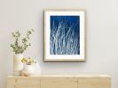 Wild Grass (18 x 24" original hand-printed cyanotype) | Photography by Christine So. Item composed of paper in boho or contemporary style