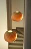 Wind maple | Pendants by Studio Vayehi. Item composed of maple wood in minimalism or contemporary style
