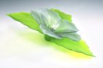DJR Glass / "Hibiscus" | Sculptures by DJR Glass / Donna J. Rice | Private Residence in Minneapolis. Item made of glass with synthetic