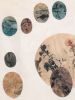 Japanese Botanica | Prints by Vero Gonzalez Ugarte. Item made of linen with paper