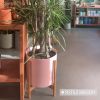 The Ten w/ Stand Planter | Vases & Vessels by LBE Design | Pistils Nursery in Portland. Item made of ceramic