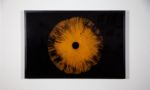Agaricales Series | Prints by Virginia Kistler. Item composed of paper