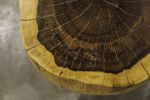 Carved Live Edge Solid Wood Trunk Table ƒ9 by Costantini | Side Table in Tables by Costantini Design. Item made of wood compatible with contemporary and country & farmhouse style
