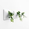 Node S Wall Planter, 6" Modern Plant Wall Set, White | Plant Hanger in Plants & Landscape by Pandemic Design Studio. Item made of stoneware compatible with minimalism and mid century modern style