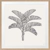 Tropical Plantation - 1 & 2 & 3 - Black - Framed Art | Prints by Patricia Braune. Item made of paper