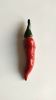 Chili Pepper | Ornament in Decorative Objects by Federica Massimi Ceramics. Item composed of ceramic in eclectic & maximalism or mediterranean style