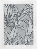 Rubbery Leaf Design - 1 & 2 - Grey - Framed Art | Prints by Patricia Braune. Item composed of canvas & paper