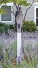 Becoming Spirit | Public Sculptures by The Sculpture Studio LLCc | Weinberg Campus in Getzville. Item composed of granite