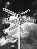 Love + Dreams | Photography by Joanie Landau