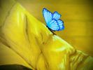 Gianna Soprano  & Yellow | Oil And Acrylic Painting in Paintings by AGONZA. Item made of synthetic