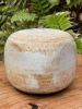 H: 5" w: 6" | Vase in Vases & Vessels by SKOBY JOE CERAMICS. Item composed of stoneware