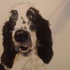Theme: Pet portraits | Paintings by Yamini Reddy
