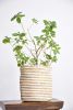 Handwoven Organic Jute Round Planters- Plant Pot (Set of 4) | Vases & Vessels by Humanity Centred Designs. Item made of bamboo & fiber compatible with boho and minimalism style