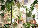 PlantSpectrum | Lighting by Mother. Item composed of aluminum